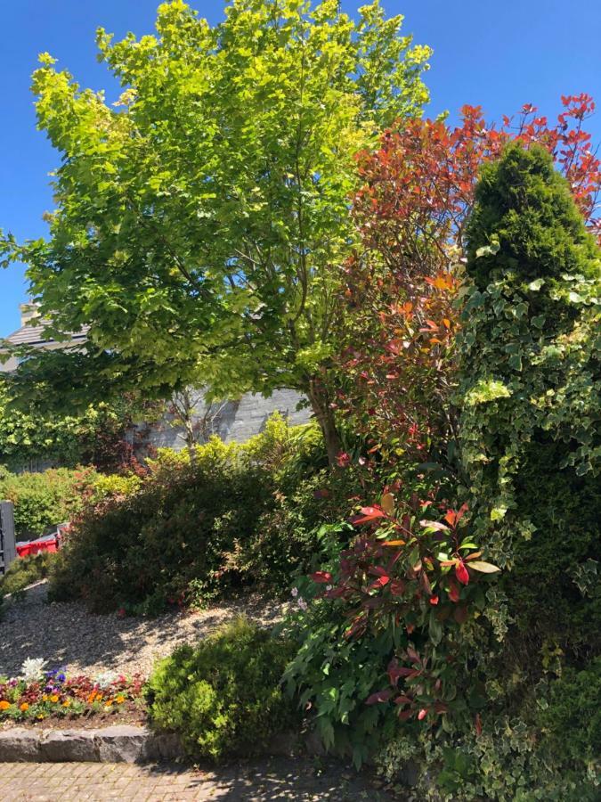 Amber Hill Bed and Breakfast Galway Exteriör bild
