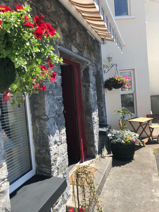 Amber Hill Bed and Breakfast Galway Exteriör bild