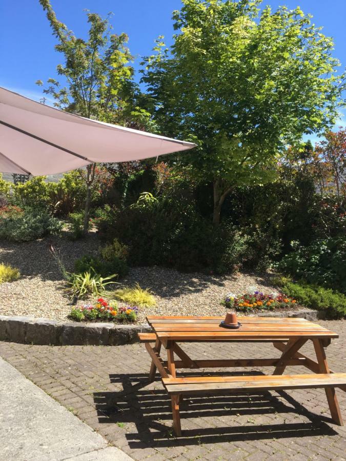 Amber Hill Bed and Breakfast Galway Exteriör bild